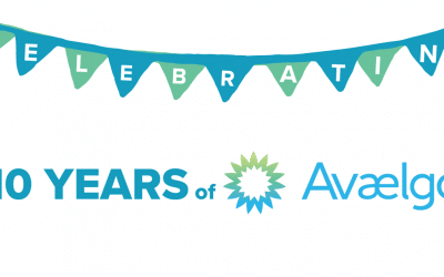 Avaelgo’s 10 Year Anniversary