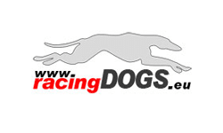 racingdogs Avaelgo client